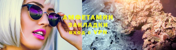 шишки Алзамай