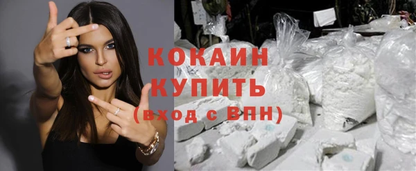 шишки Алзамай