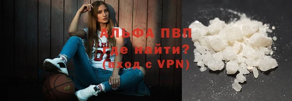шишки Алзамай