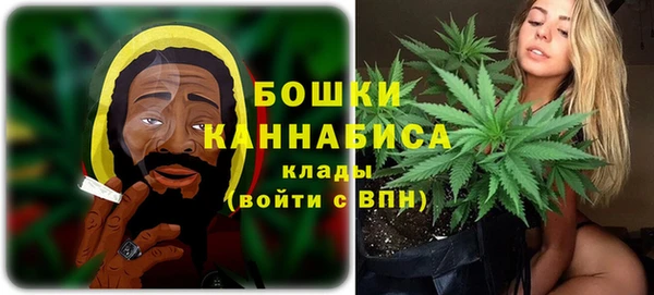 шишки Алзамай
