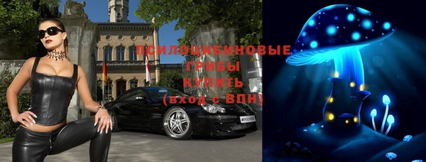 шишки Алзамай